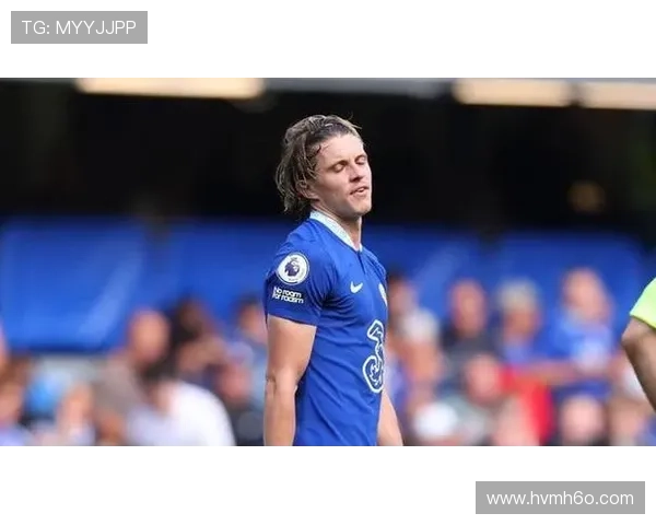 热刺伤情更新穆阿尼德拉古辛有望出战维拉索兰克归期仍待确定